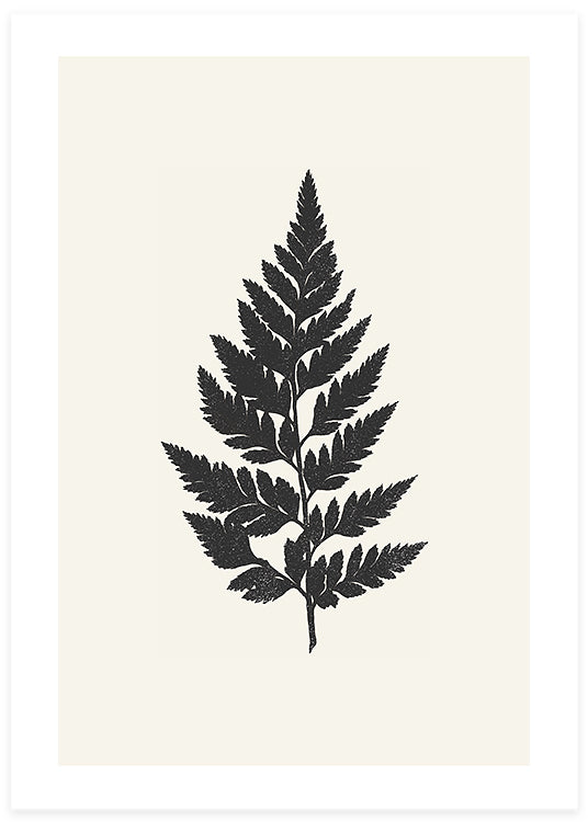 Minimalistisk botanisk illustration av ett svart blad mot en beige bakgrund av studio spruce